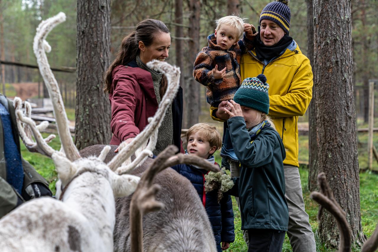 Children with reindeer in Lapland — family reindeer farm experience