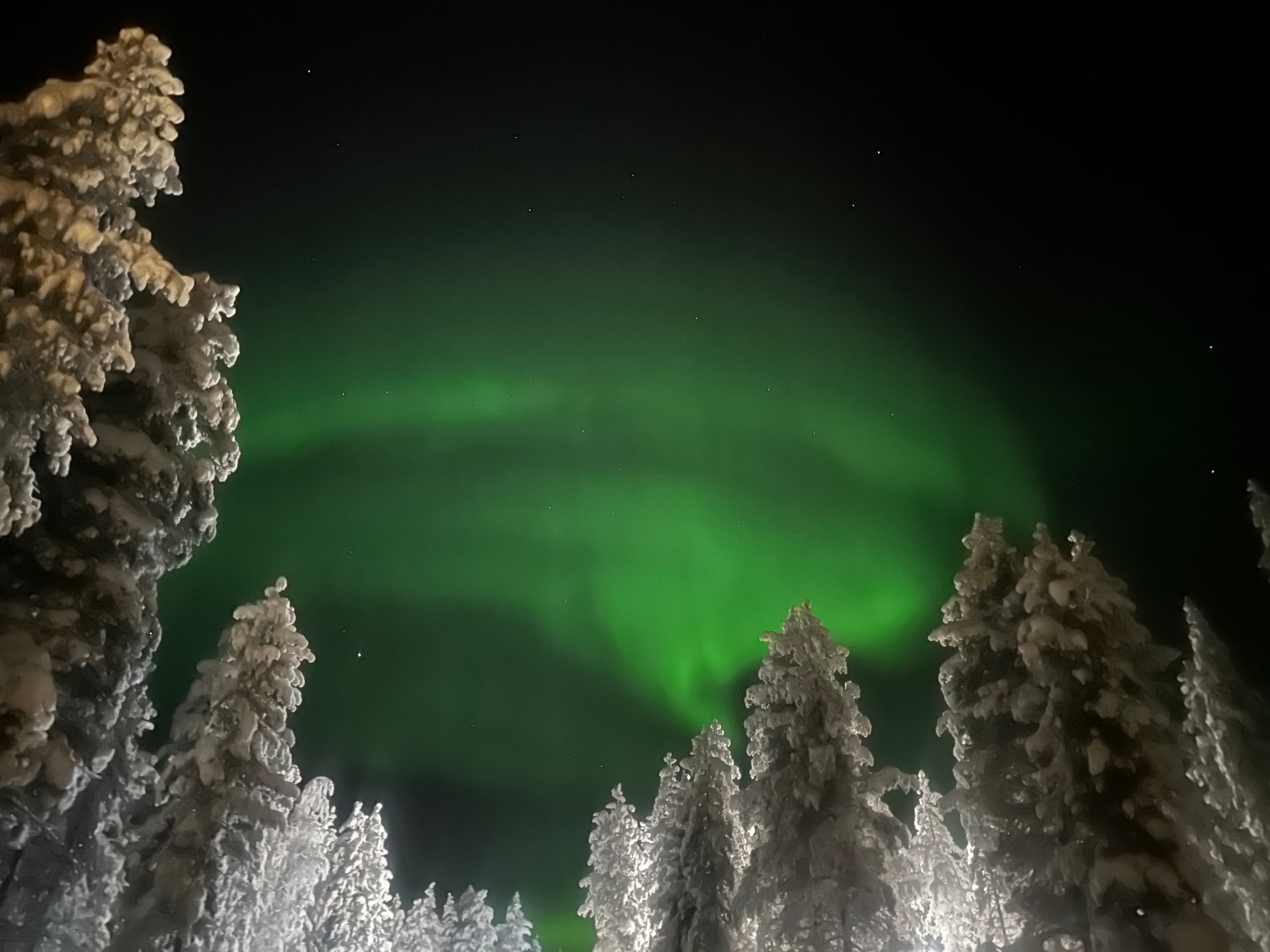 Aurora borealis green northern lights in Finnish Lapland