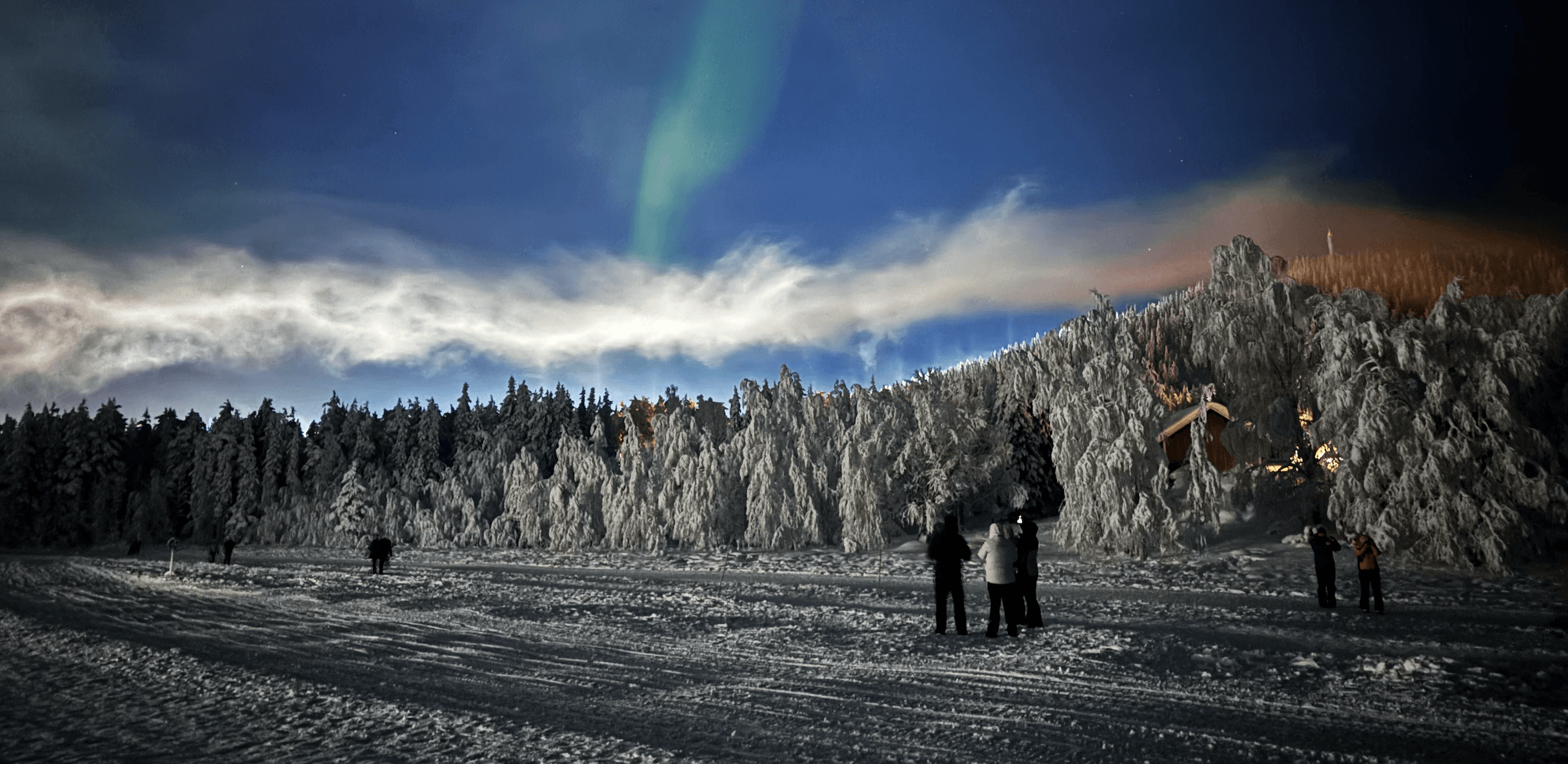 Northern lights over snow-laden pine forest in Levi, Finnish Lapland — people watching the aurora